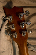 Nick Page Guitars Ptype